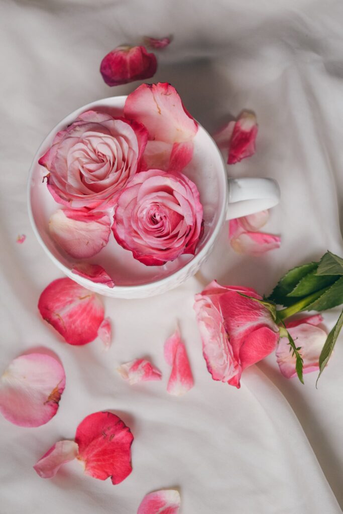 Close-Up Shot Pink Roses on White Textile